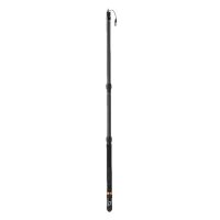 Gậy Boom Pole E-Image BC06P